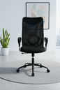 Black office chair shown from multiple angles in a modern office setting.